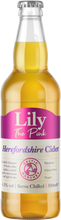Load image into Gallery viewer, Lily The Pink 4.5% 500ml Bottles