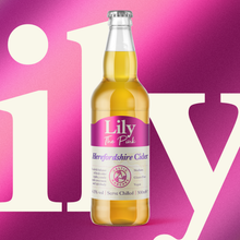 Load image into Gallery viewer, Lily The Pink 4.5% 500ml Bottles