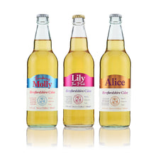 Load image into Gallery viewer, Modern Mixed Cider Box 12 x 500ml bottles
